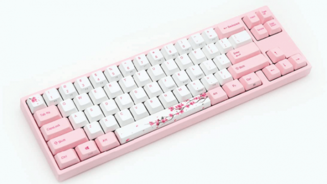 Where to Buy Ducky Keyboard?