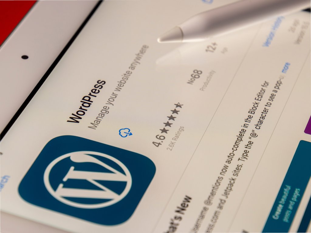 WordPress icon