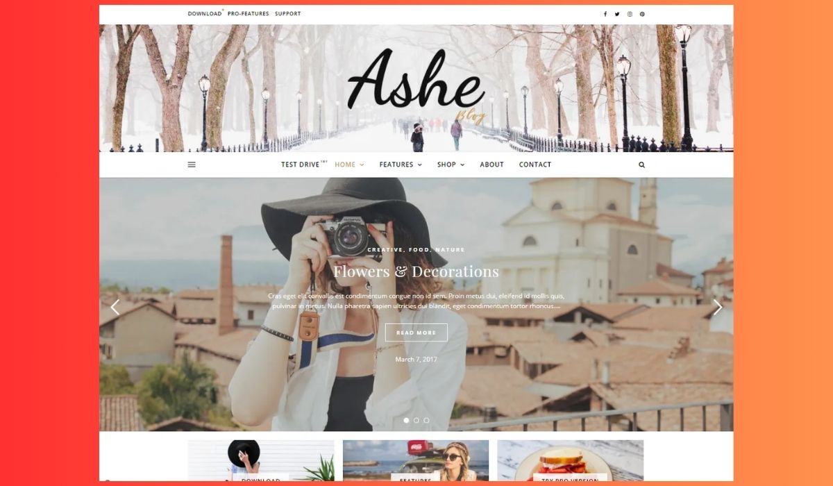 Ashe WordPress Themes
