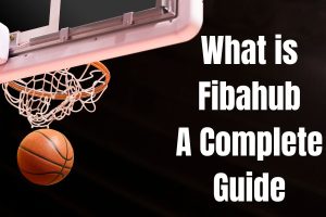 What is Fibahub: A Complete Guide