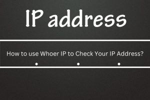 How to use Whoer IP to Check Your IP Address?